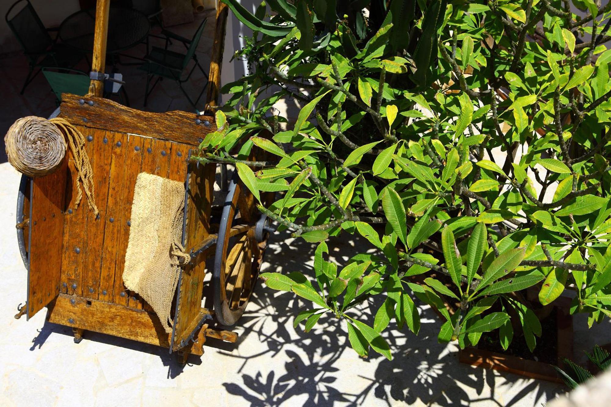 B&B Sabir San Vito Lo Capo Dış mekan fotoğraf